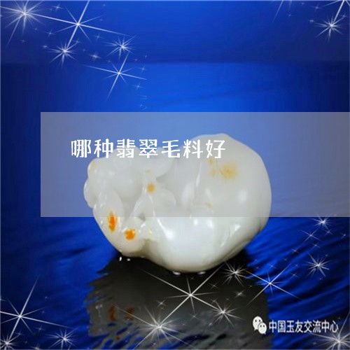 哪种翡翠毛料好/2023040339271