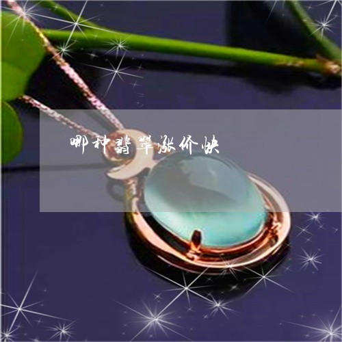 哪种翡翠涨价快/2023040336048