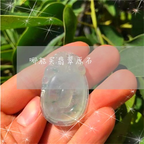 哪能买翡翠原石/2023040350483