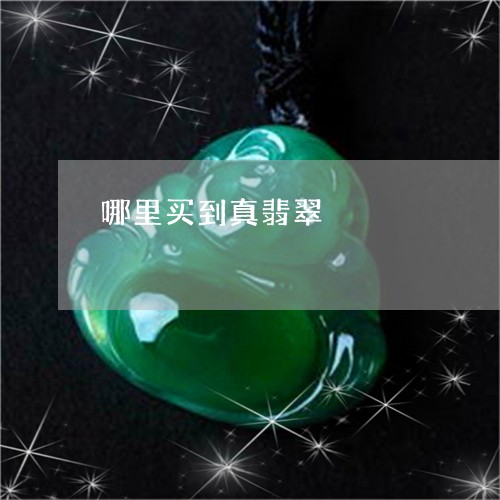哪里买到真翡翠/2023040351694