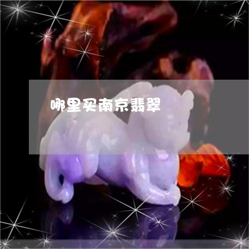 哪里买南京翡翠/2023040306948