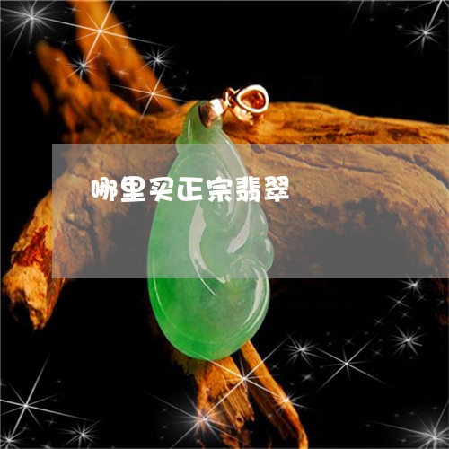 哪里买正宗翡翠/2023040328472