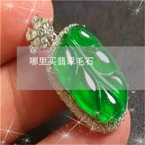 哪里买翡翠毛石/2023040317471