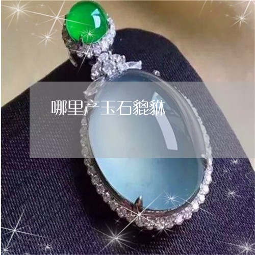 哪里产玉石貔貅/2023040305160