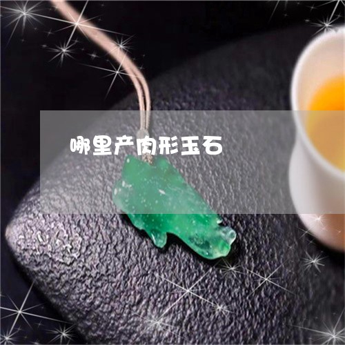 哪里产肉形玉石/2023040394605