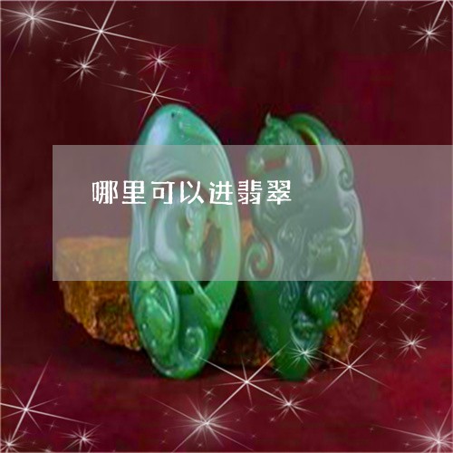 哪里可以进翡翠/2023040351583