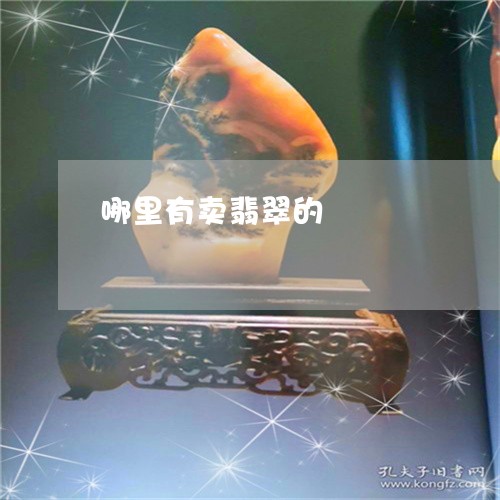哪里有卖翡翠的/2023040329482 哪里有卖翡翠的/2023040329482