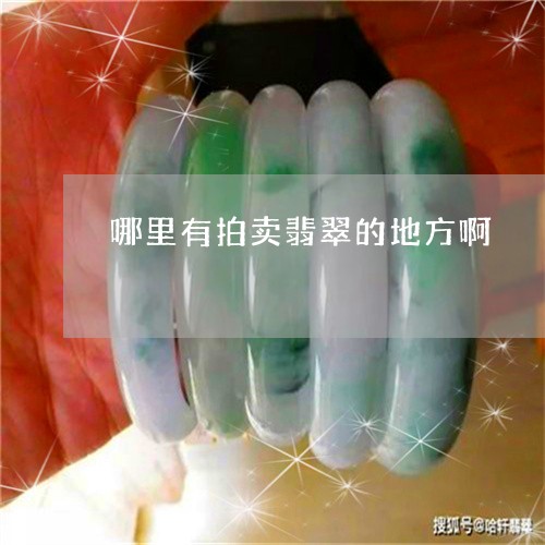 哪里有拍卖翡翠的地方啊/2023061828370