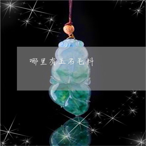 哪里有玉石毛料/2023040315936