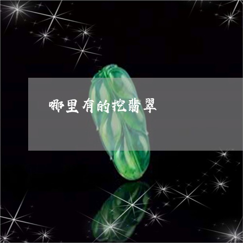 哪里有的挖翡翠/2023040350493