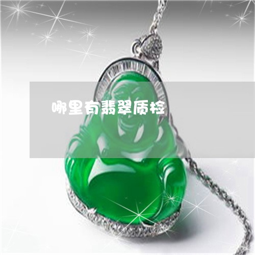 哪里有翡翠质检/2023040399262