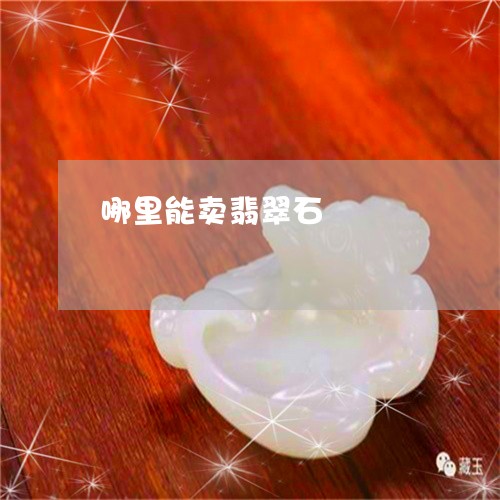 哪里能卖翡翠石/2023040351793