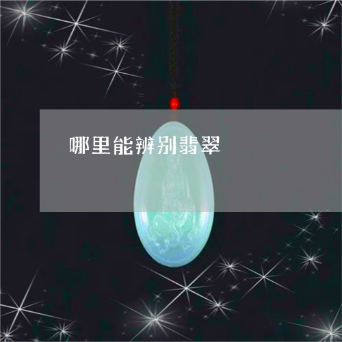 哪里能辨别翡翠/2023040305149