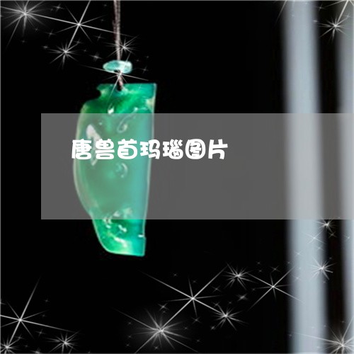 唐兽首玛瑙图片/2023040361572 唐兽首玛瑙图片/2023040361572