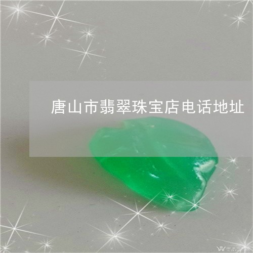 唐山市翡翠珠宝店电话地址/2023061990825