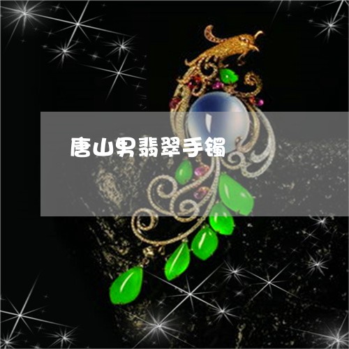 唐山男翡翠手镯/2023040365947 唐山男翡翠手镯/2023040365947