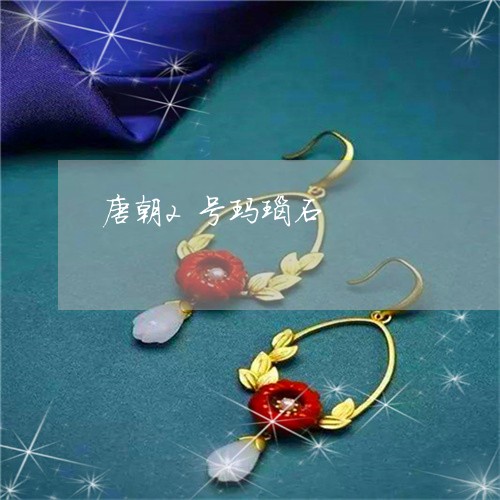 唐朝2号玛瑙石/2023040316026