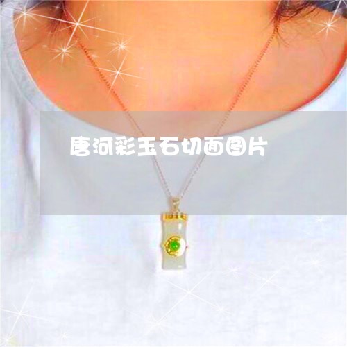 唐河彩玉石切面图片/2023042374806