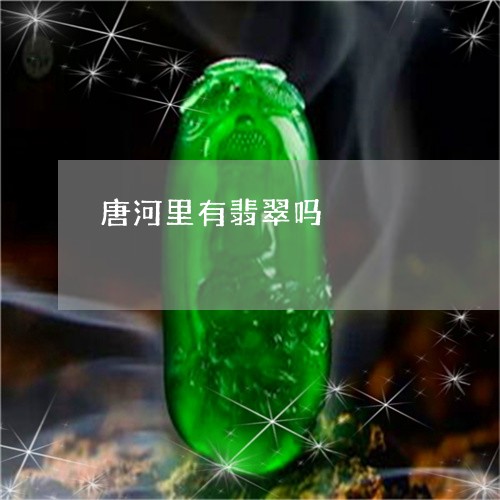 唐河里有翡翠吗/2023040385240 唐河里有翡翠吗/2023040385240