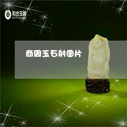 商周玉石射图片/2023040494725 商周玉石射图片/2023040494725