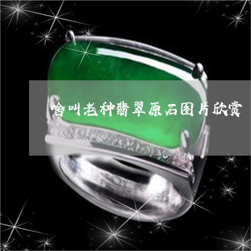 啥叫老种翡翠原石图片欣赏/2023061954028