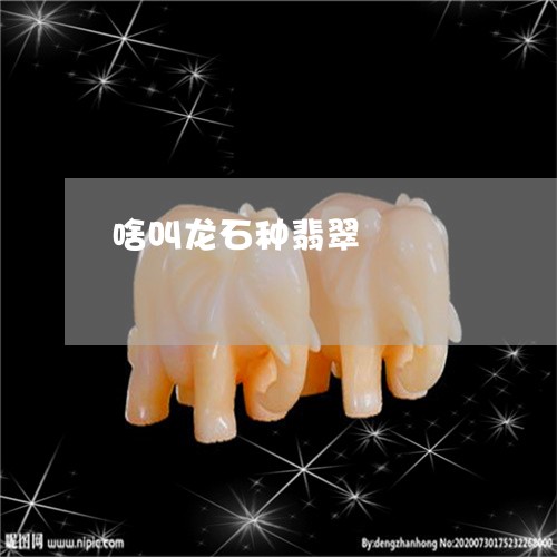 啥叫龙石种翡翠/2023040494836 啥叫龙石种翡翠/2023040494836