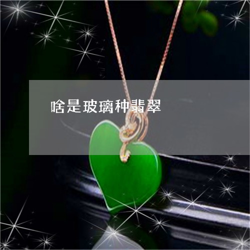啥是玻璃种翡翠/2023040412713 啥是玻璃种翡翠/2023040412713