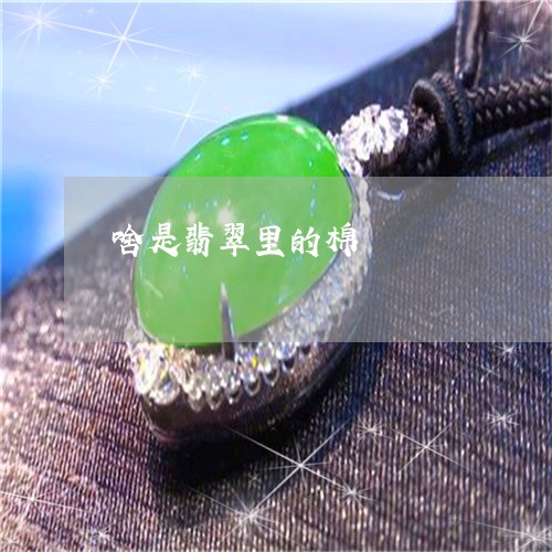 啥是翡翠里的棉/2023040459370 啥是翡翠里的棉/2023040459370