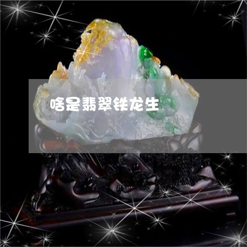 啥是翡翠铁龙生/2023040444816 啥是翡翠铁龙生/2023040444816