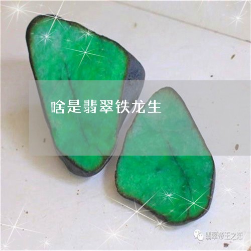 啥是翡翠铁龙生/2023040484848 啥是翡翠铁龙生/2023040484848
