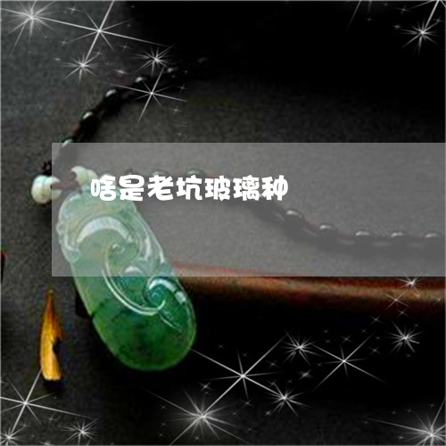 啥是老坑玻璃种/2023040407158 啥是老坑玻璃种/2023040407158