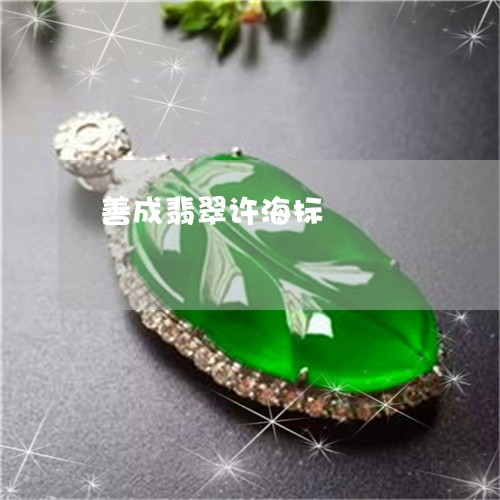 善成翡翠许海标/2023040461373