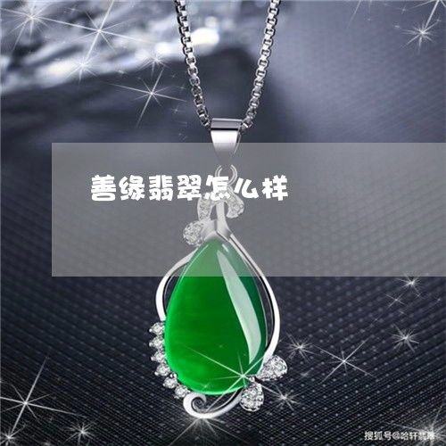 善缘翡翠怎么样/2023040443593
