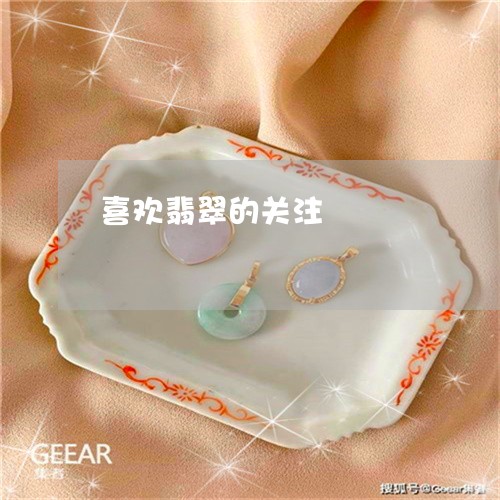 喜欢翡翠的关注/2023040495925 喜欢翡翠的关注/2023040495925
