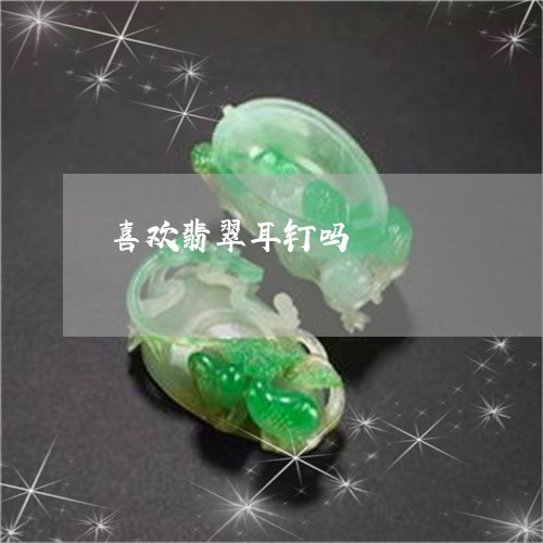 喜欢翡翠耳钉吗/2023040450484 喜欢翡翠耳钉吗/2023040450484