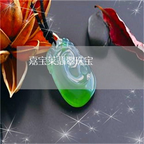 嘉宝莱翡翠珠宝/2023040409573