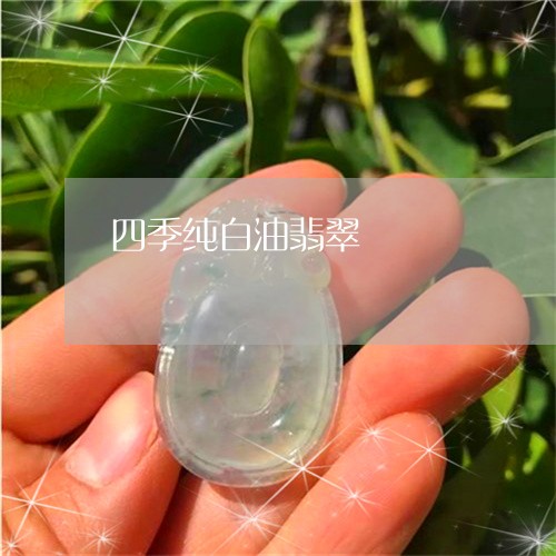 四季纯白油翡翠/2023040409816