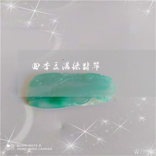 四季豆满绿翡翠/2023040406836