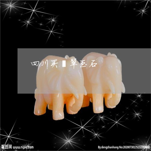 四川买翡翠玉石/2023040494827