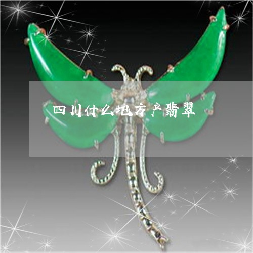 四川什么地方产翡翠/2023042273703