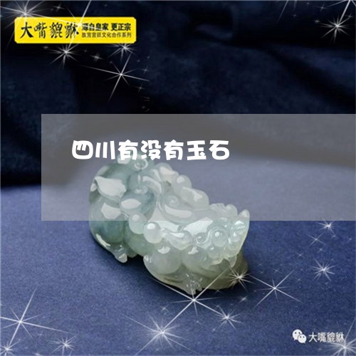 四川有没有玉石/2023040452836