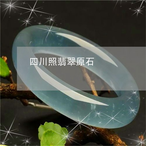 四川照翡翠原石/2023040416057 四川照翡翠原石/2023040416057