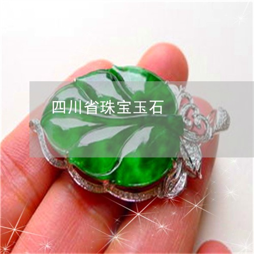 四川省珠宝玉石/2023040418259 四川省珠宝玉石/2023040418259
