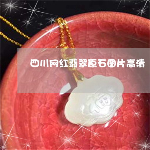 四川网红翡翠原石图片高清/2023061928502