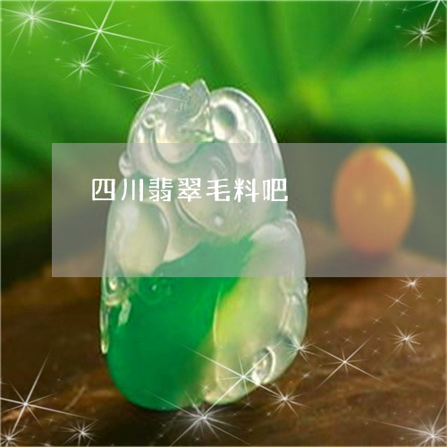 四川翡翠毛料吧/2023040480537 四川翡翠毛料吧/2023040480537