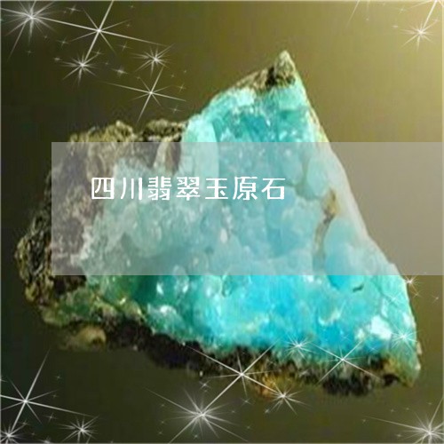 四川翡翠玉原石/2023040472513 四川翡翠玉原石/2023040472513