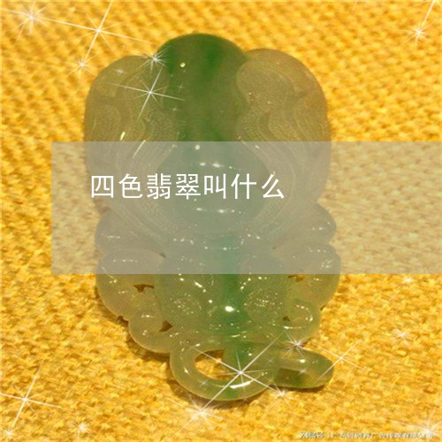 四色翡翠叫什么/2023040404939 四色翡翠叫什么/2023040404939