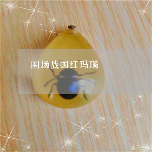 围场战国红玛瑙/2023040465947