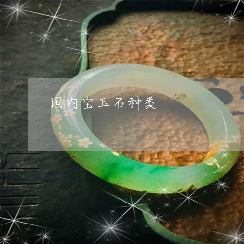 国内宝玉石种类/2023040406361 国内宝玉石种类/2023040406361