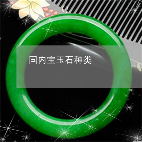 国内宝玉石种类/2023040474817 国内宝玉石种类/2023040474817